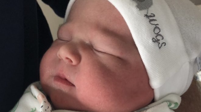 Announcing our newest 'Woglet'